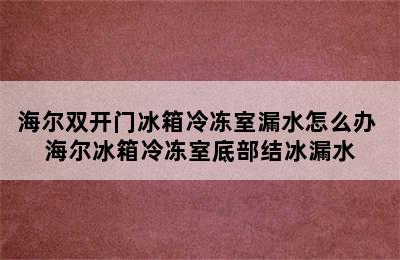 海尔双开门冰箱冷冻室漏水怎么办 海尔冰箱冷冻室底部结冰漏水